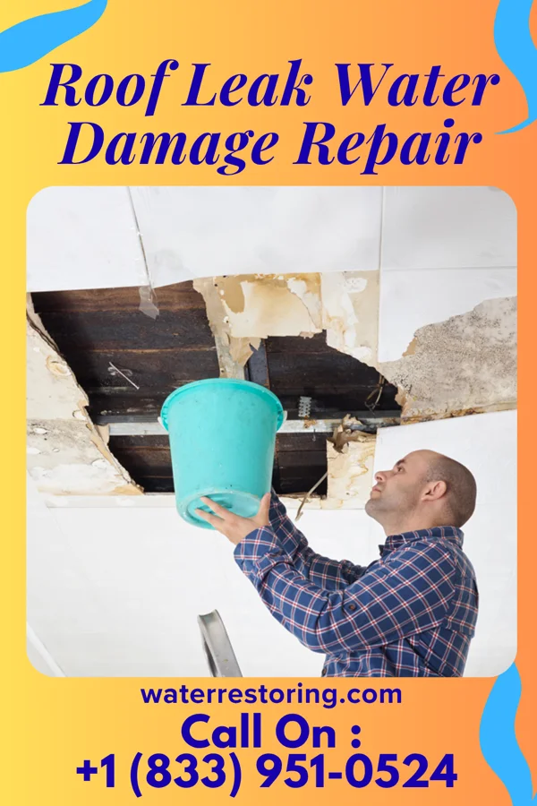 Roof Leak Water Damage Repair in Daniel, UT